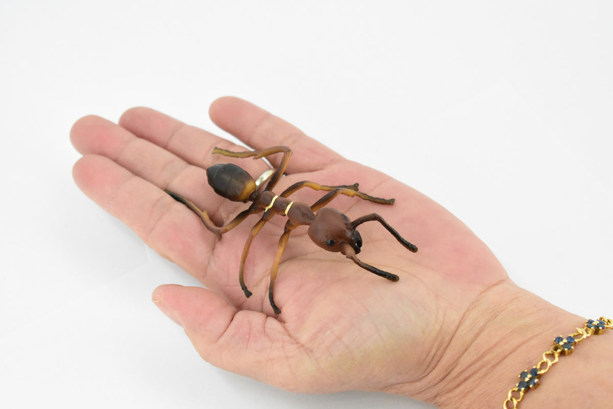 Red Fire Ant, Ginger ant, Very Nice Design, Educational, Hand Painted, Realistic Rubber Insect, Toy Figure, Diorama Model, Kids,  4 Inches. 